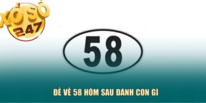 Xoso247 giải mã đề về 58 hôm sau đánh con gì chuẩn?